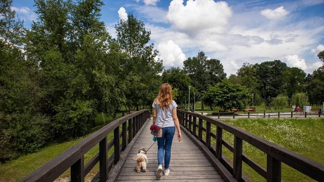 Beautiful,Girl,With,Long,,Golden,Hair,Walking,Her,Dog,Over