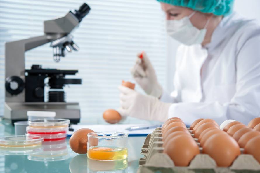 Kako biste izbjegli salmonelu, uvijek pazite na ovih 10 stvari