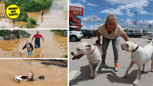 Herojski uskočila u vodu i svoje pse spasila od poplave: 'Plutale su na daskama, to ih je spasilo'