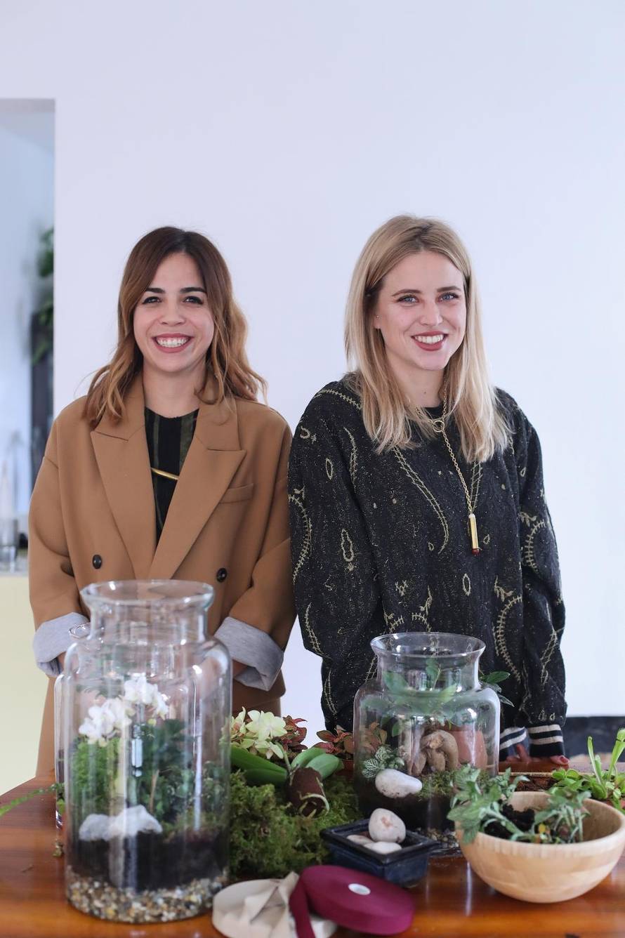 Vrt u posudi: Biljke u terariju trebaju decilitar vode godišnje