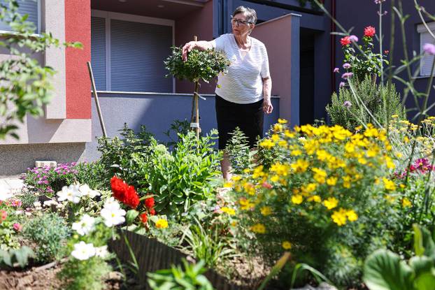 Zagreb: Jasenka Marija Kaštelan ima najljepši vrt na balkonu i ispred zgrade 