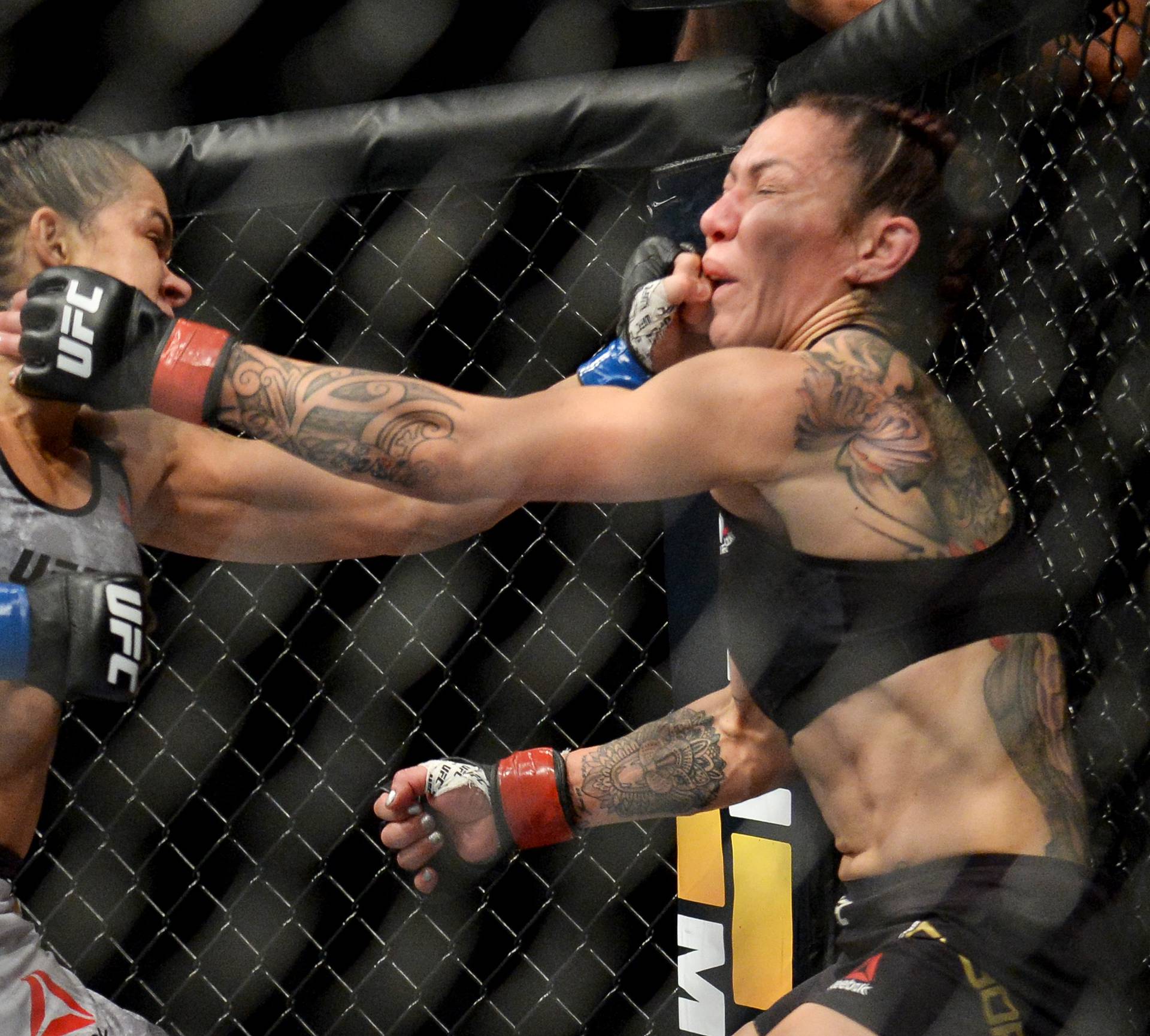 MMA: UFC 232-Cyborg vs Nunes