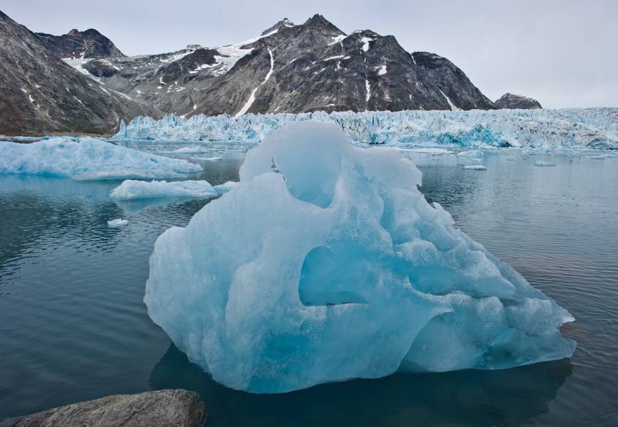 Humpback whale in East Greenland