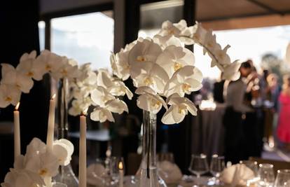 Spoj prirode i dizajna - cvijeće koje podiže svaki prostor i prigodu