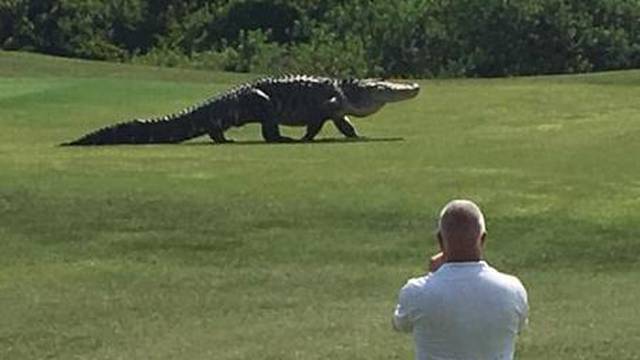 Opuštali su se uz golf, a onda su im se svima 'odsjekle' noge