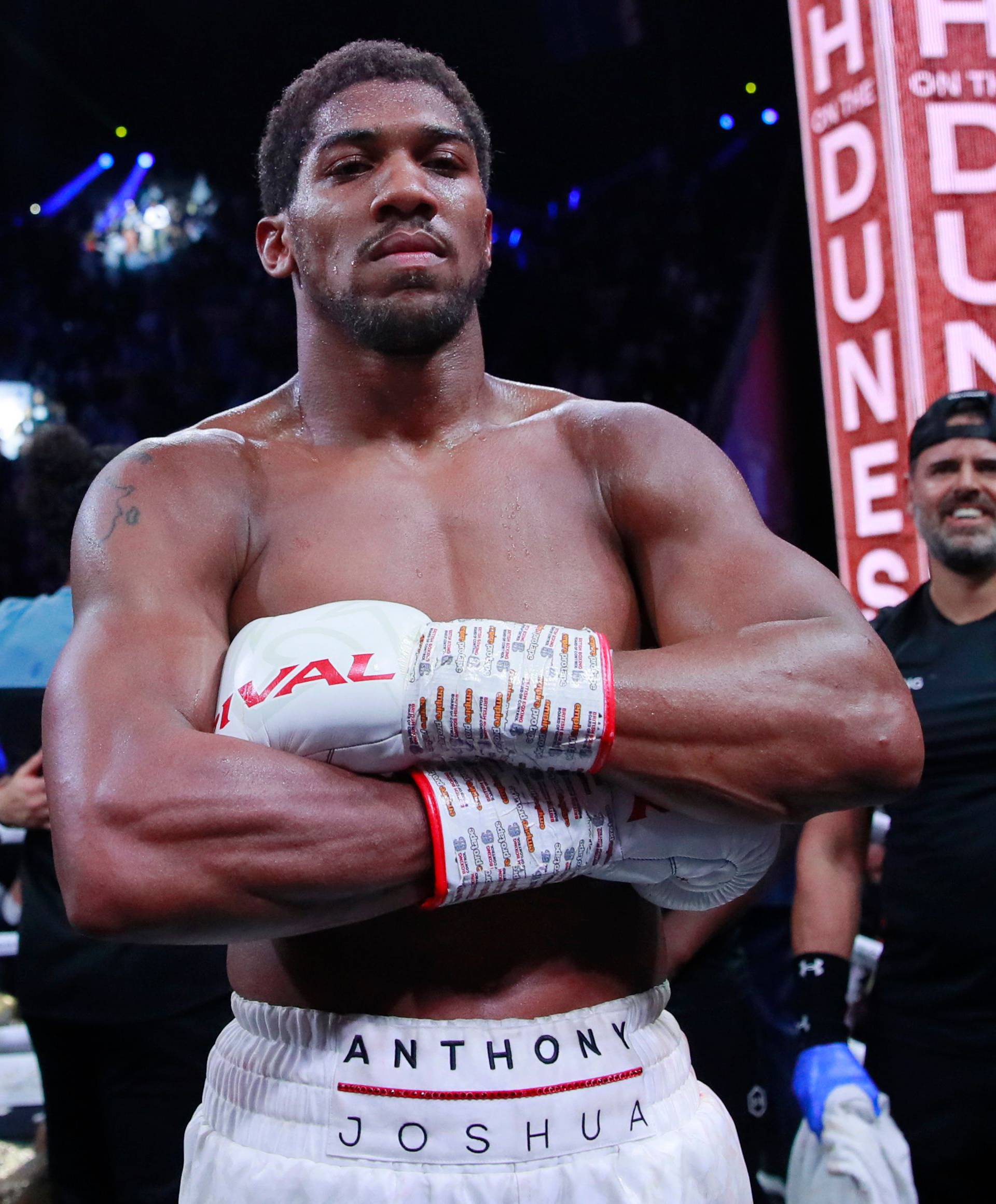 Andy Ruiz Jr v Anthony Joshua - IBF, WBA, WBO & IBO World Heavyweight Titles