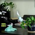 VIDEO - USISAVA, RIBA, BRI&Scaron;E Ne &ccaron;isti vam se po stanu? Mo&zcaron;da da nabavite ovakvog robota...