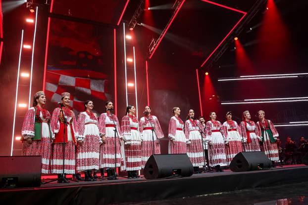 Koncert Domu mom u Zagrebačkoj Areni