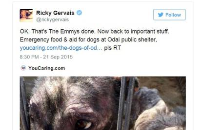 Jednim 'tvitom' spasio stotine gladnih i napuštenih pasa