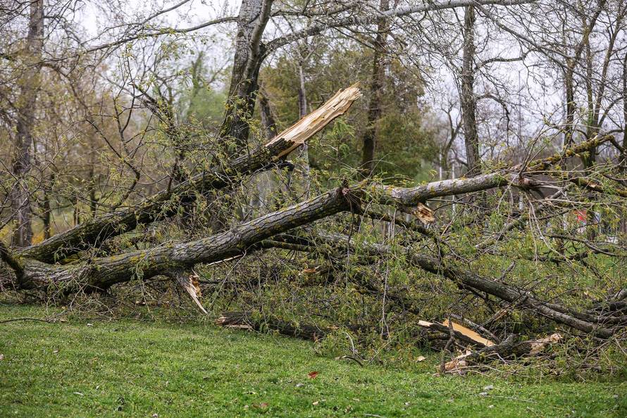 Zagreb: Olujno nevrijeme počupalo stabla na Bundeku 
