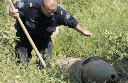 Obrađivao zemlju te našao 'krmaču' od 225 kilograma