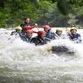 Ljepota divljine: Nezaboravna rafting avantura kroz brzace gorskog toka rijeke Kupe