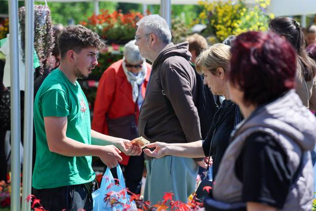 Zagreb: Sunce obasjalo Flora Art