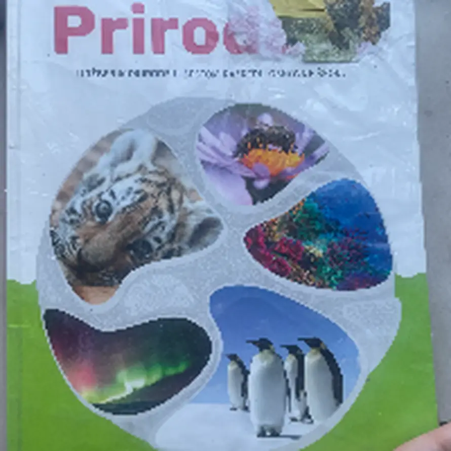 Ovo je udžbenik za 6. razred, pogledajte kako su prikazali muški, a kako ženski organ!