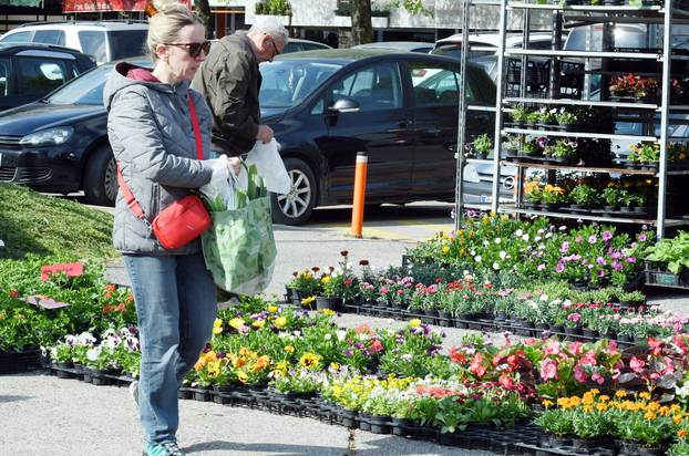 Sisak: Subotnja ponuda cvijećana tržnici