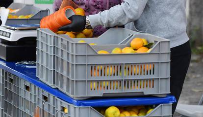 FOTO Mandarine u Šibeniku po 1,20 €! Znate li koliko je kura C vitamina koštala prije 5 godina?