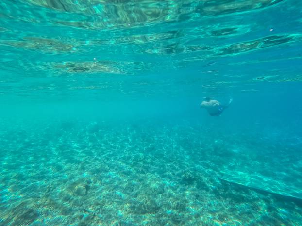 Vela Luka: Podmorje južne strane otoka Korčule