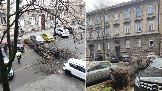 Srušilo se stablo u centru Zagreba