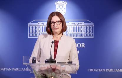 Marijana Puljak: 'Čak 243 općine nemaju niti jednog proračunskog korisnika...'