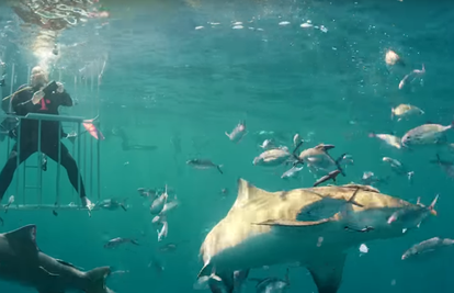 Pazi, ralje! Novi Galaxy S8 su raspakirali s morskim psinama