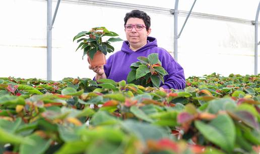 Vrtlarica Marija: Mi već usred srpnja mislimo na vaš Božić!