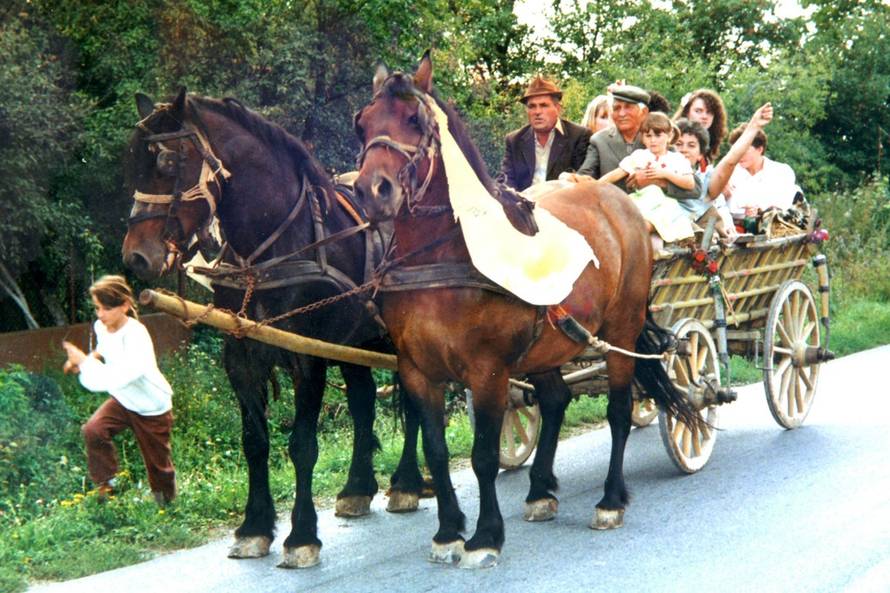 Dusko Mirkovic/PIXSELL