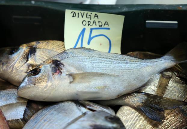 Šibenik: Ponuda ribe i ostalih morskih delicija