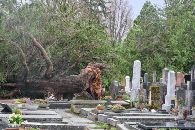 Zagreb: Teško oštećeno gradsko groblje Mirogoj