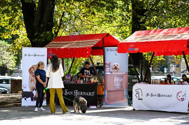 Zagreb: Počela je manifestacija pod nazivom "Dan šapica“
