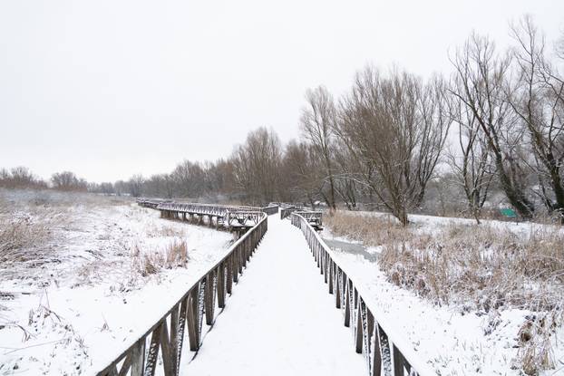 Kopački rit: Zimska idila u Baranji 