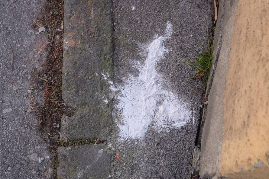 Netko u Zagrebu truje pse?! Na ulici našli čudni bijeli prah