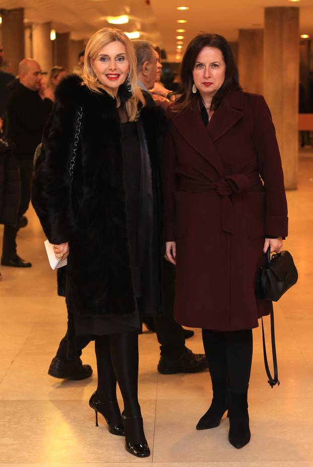 Zagreb: Poznati na ro?endanskom koncertu Teške industrije