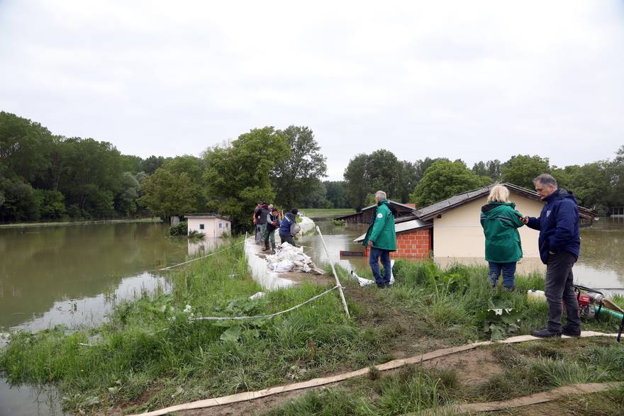 sisak konji