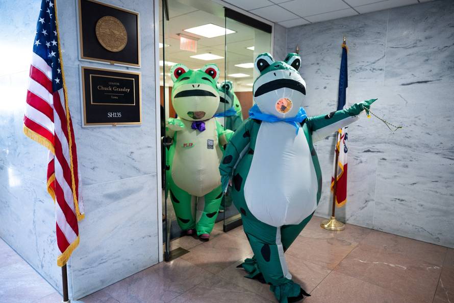 Portland Frogs Visit Congressional Offices on Capitol Hill