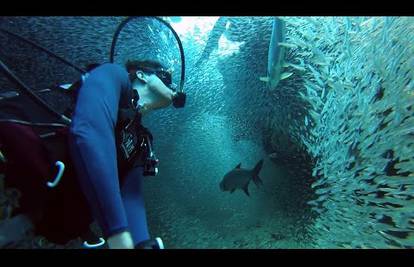 Zaplivao s milijunima morskih riba: Pogledajte što je snimio