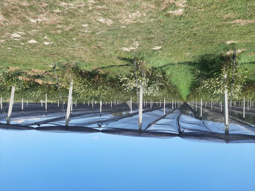 Jeste li primijetili ovu oznaku na proizvodima? Možda je važnija nego što mislite