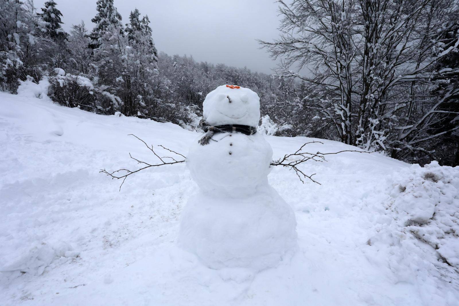 Snjegović u Fužinama