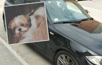 Muškarac iz Srbije nudi BMW onom tko mu pronađe psa: 'Ne mogu spavati, kćeri se ljute'