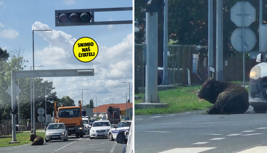 FOTO Tele čovjeku ispalo iz vozila u Ivanić Gradu: 'Ležalo je na cesti nasred raskrižja'