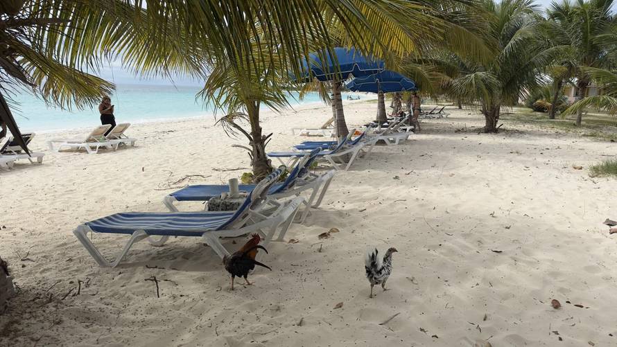 FOTO Kolinda na Antarktici: Društvo joj prave pingvini!