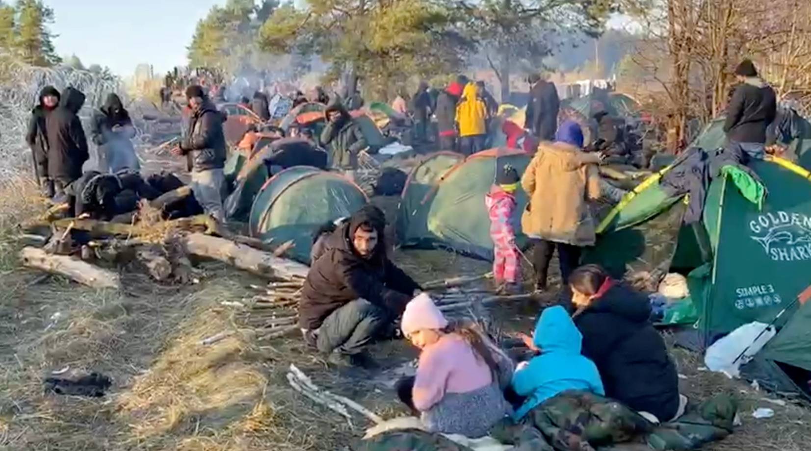 Migrants gather in a forest near Poland - Belarus border