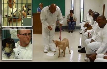 'Šape u zatvoru': Druga prilika za pse osuđene na eutanaziju