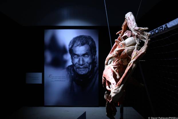 Zagreb: Konferencija uoči otvorenja izložbe seciranih ljudskih tijela Body Worlds Vital