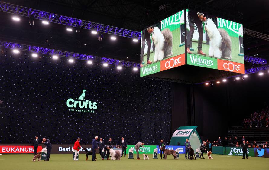 Final day of the Crufts Dog Show in Birmingham