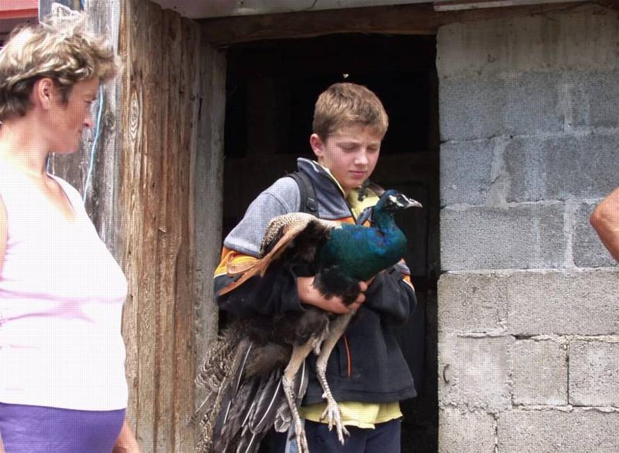 Anđelko Suhodolčan