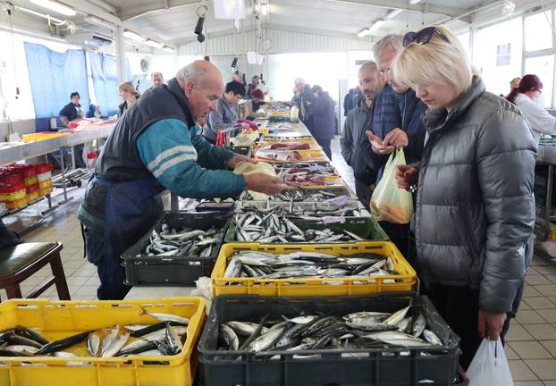 Šibenik: Ponuda na šibenskoj ribarnici