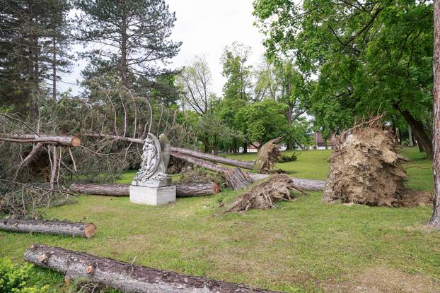 U oluji porušena stabla na Mirogoju napravila su veliku štetu