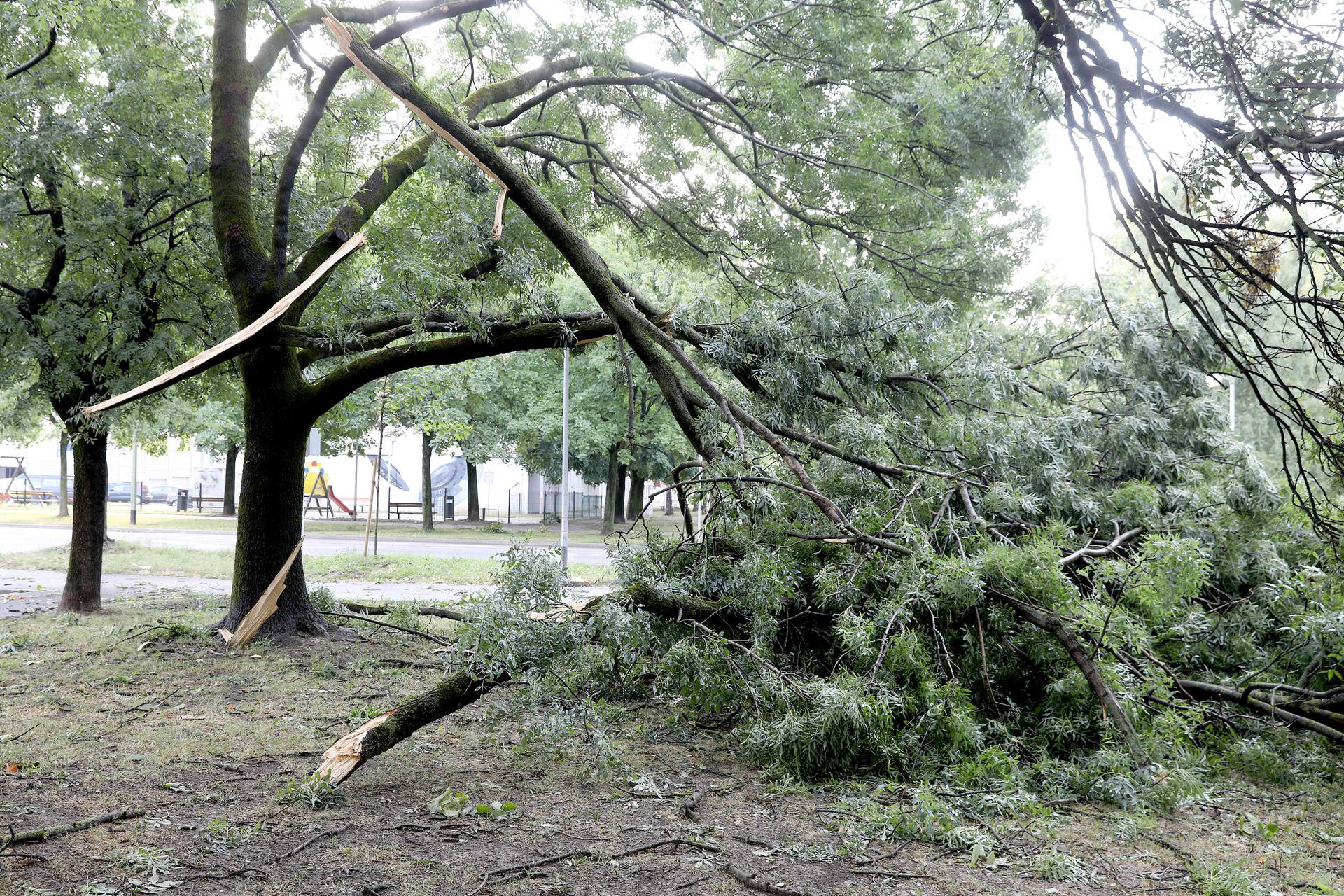 Zagreb: Posljedice oluje i dalje vidljive na ulicama