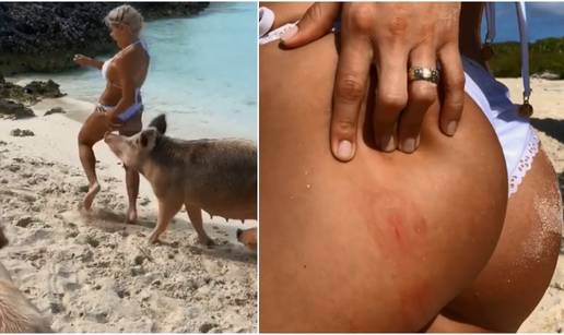Manekenka pokazivala guzu na pla&zcaron;i pa ju za nju ugrizla svinja
