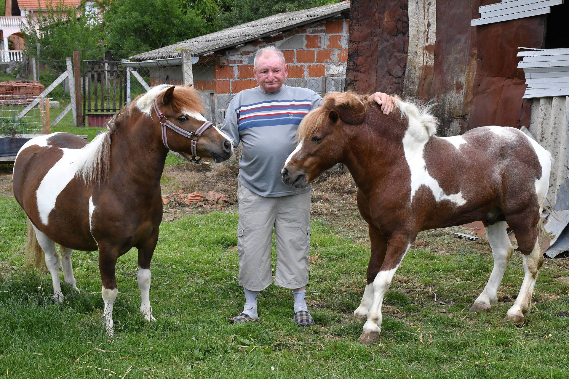Tekić: Miroslav Vernot i njegov poni konj Sokol